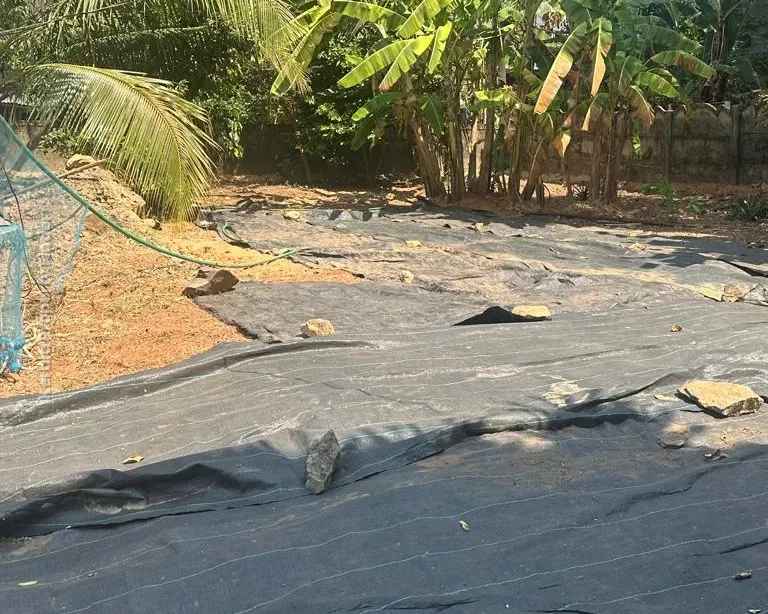 Residential Land for Sale in Kanimangalam  Koorkencherry Route - Photo 5
