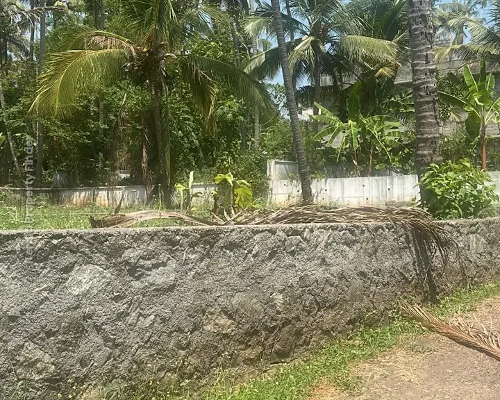 Residential land-9 cents For sale in Aranattukara, Thrissur - Photo 2
