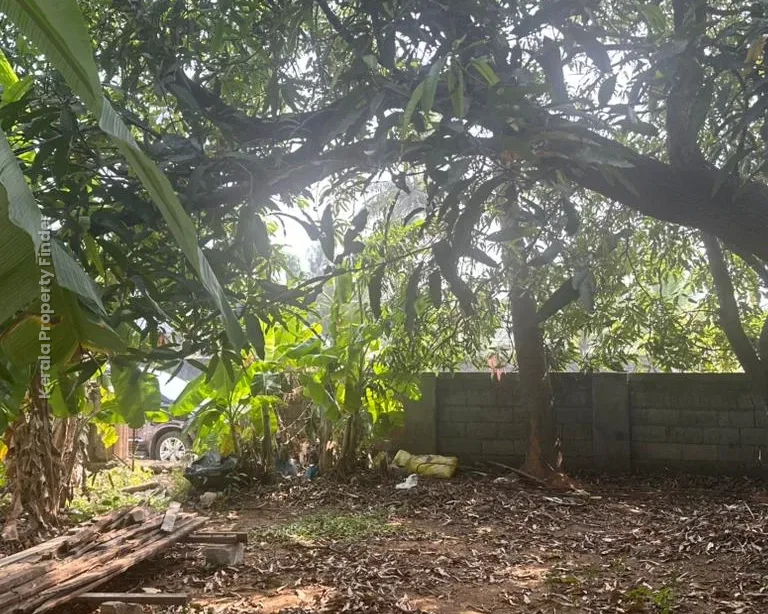 Prime Residential Plot-8 cents for Sale in Chembukavu, Thrissur - Photo 3