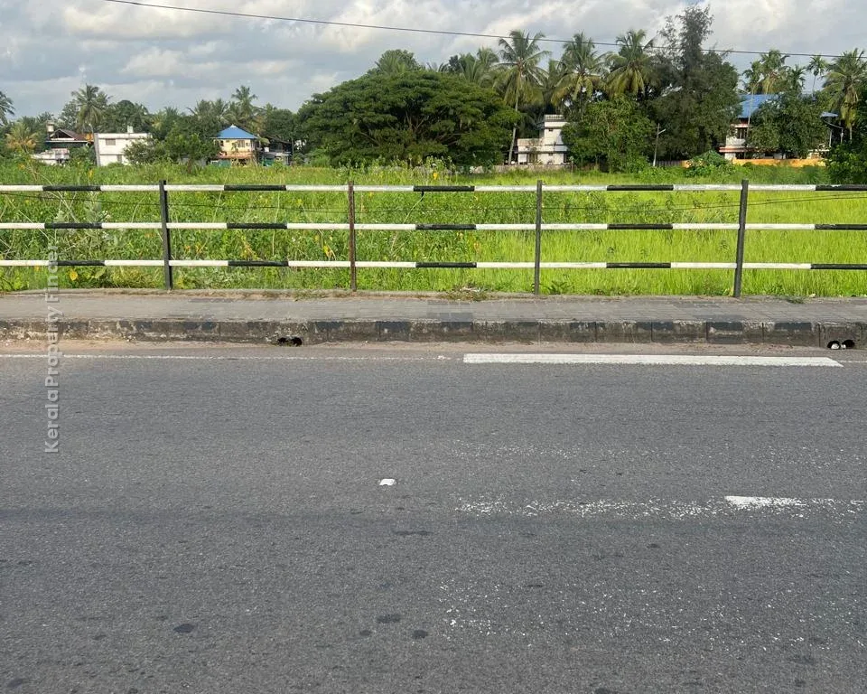 5.5 Acres Commercial Land for Sale  Kolothumpadam, Peringav, Thrissur - Photo 6