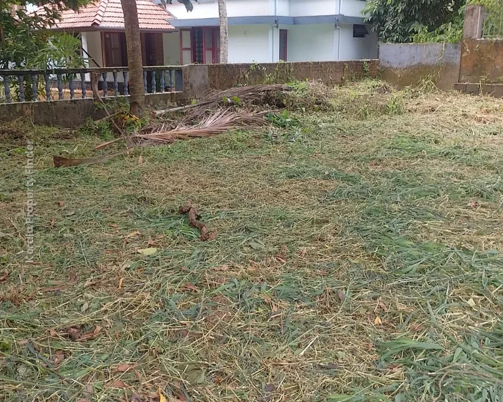 Commercial Land for Sale in West Fort, Near Kerala Varma College, Thrissur - Commercial for Sale in West Fort, Thrissur