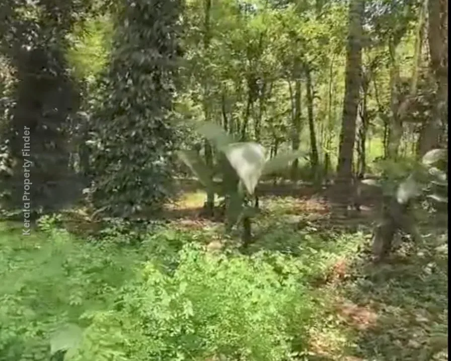 Land with House for Sale in Mannuthy, Mulayam-Koottala - Photo 2