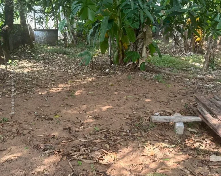 Prime Residential Plot-8 cents for Sale in Chembukavu, Thrissur - Photo 5