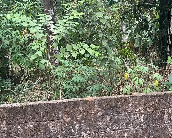 Residential Land-13.5 cent for sale in Viyyur- padukkad, Thrissur - Photo 2