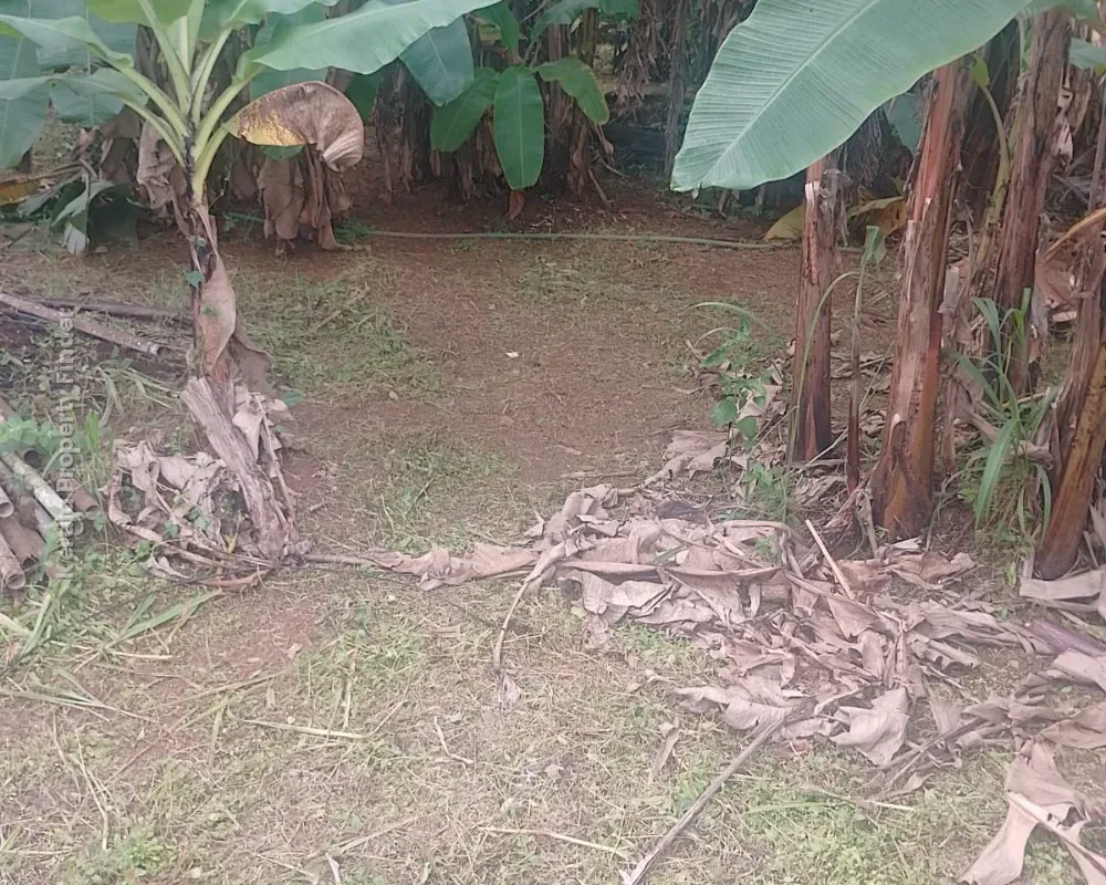 Prime Residential Land for Sale in Pallimoola, Thrissur - Photo 5