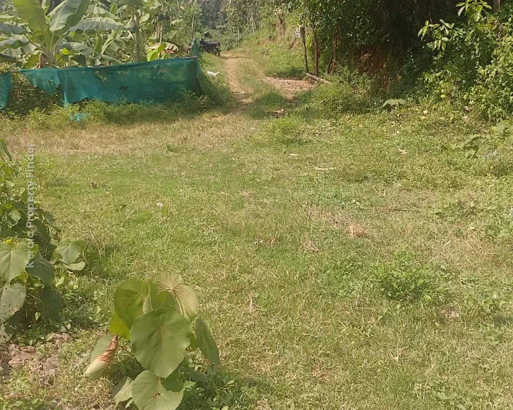 Residential Land for Sale  Poomala, Thrissur - Residential in Poomala, Thrissur