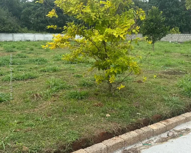 Residential Land  10 ,11 cents  for sale in Kechery Center, Thrissur - Photo 8