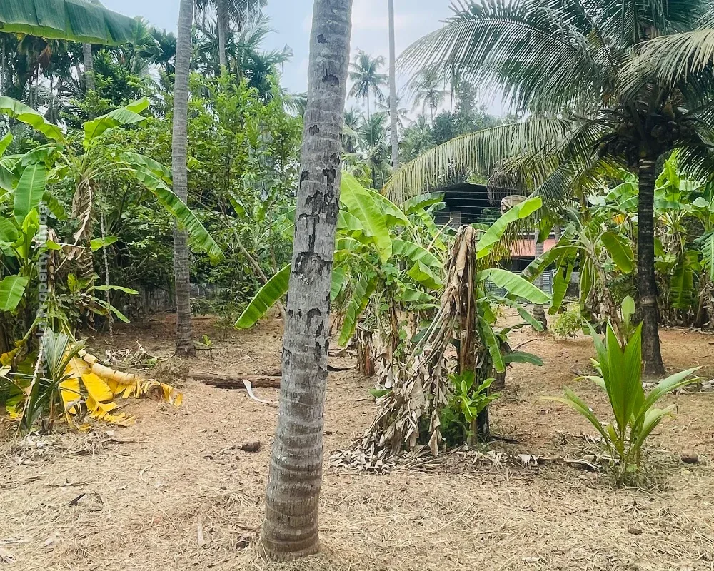 Residential Land-17 cent for sale in Chiyyaram , Near Gallie , Thrissur - Photo 5