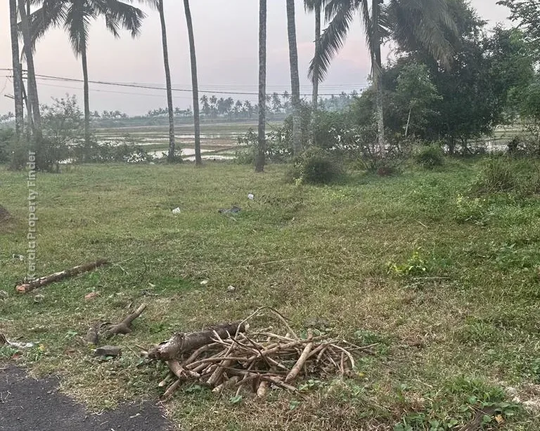10 cents Residential Plot for Sale at Olari, Chettupuzha, Thrissur - Residential in Olari, Thrissur - photo 4