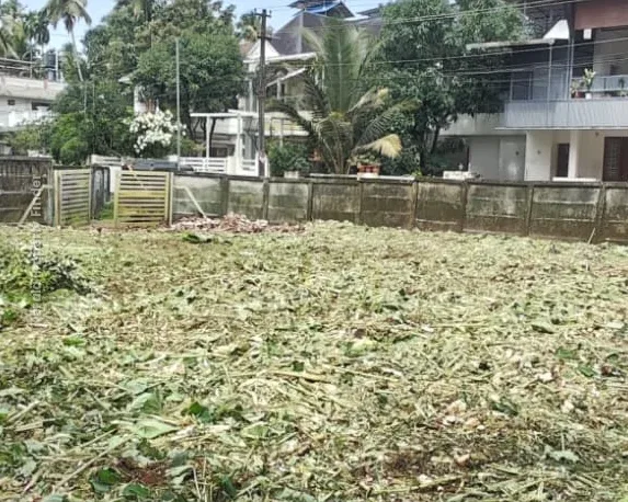 10,12,15 cent for Sale in Mg road, Kottappuram, Thrissur Town - Photo 6