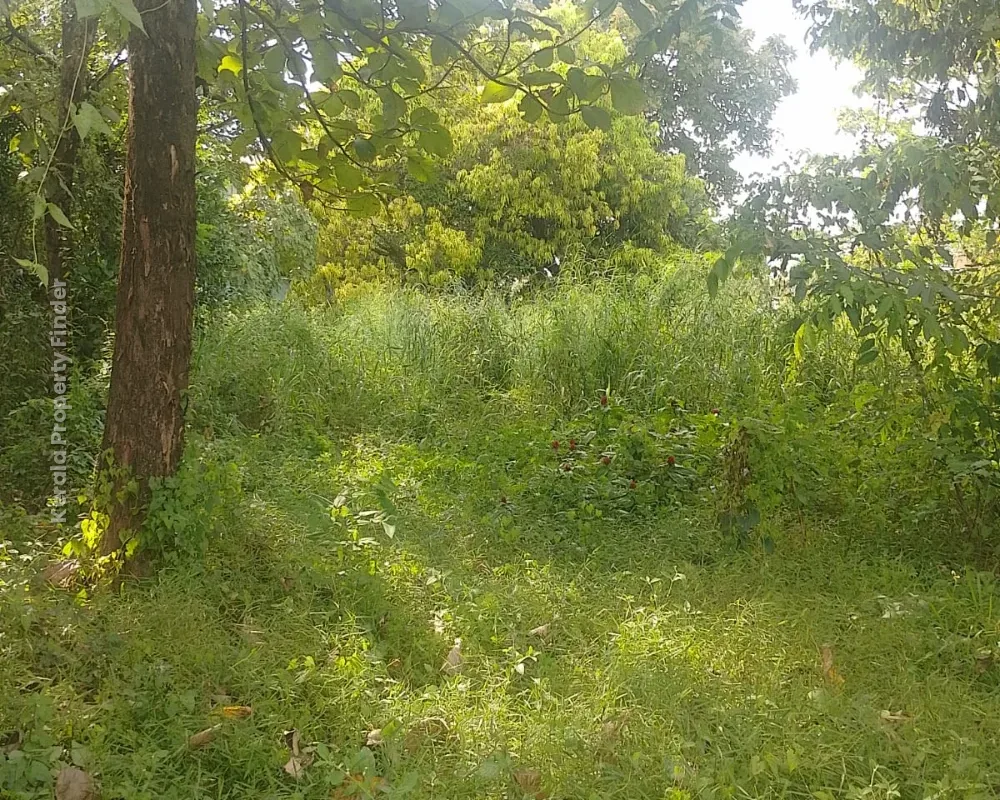 Residential Land for Sale  Chembukkav, Thrissur - Photo 7
