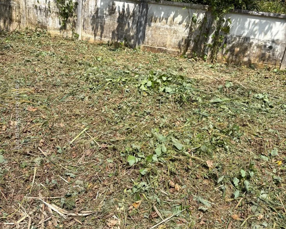 Residential land-10 cent for sale in Velappaya, Main road, Thrissur - Photo 6