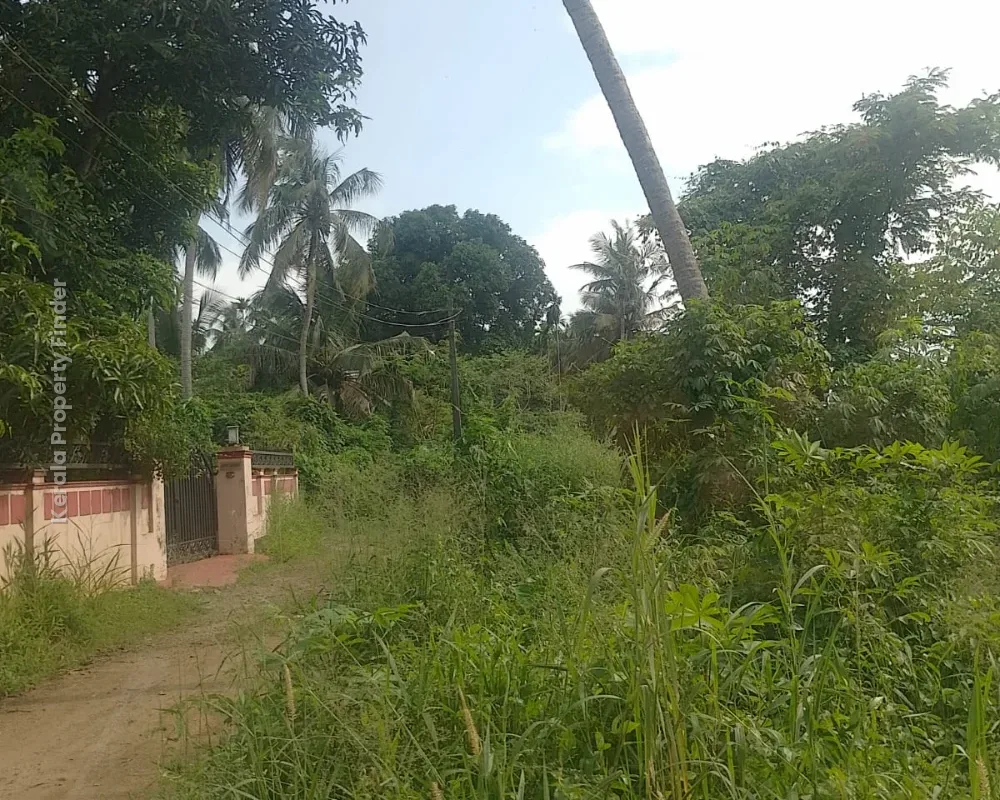 Residential Land for Sale  Pamboor, Thrissur - Photo 2