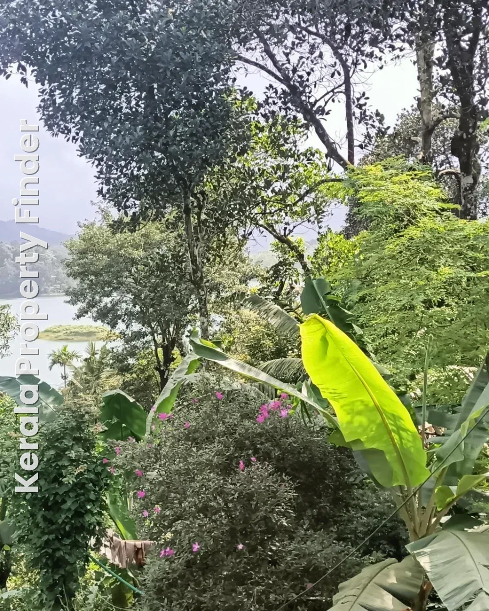 50 cents Scenic Premium Property in Wayanad - Photo 4