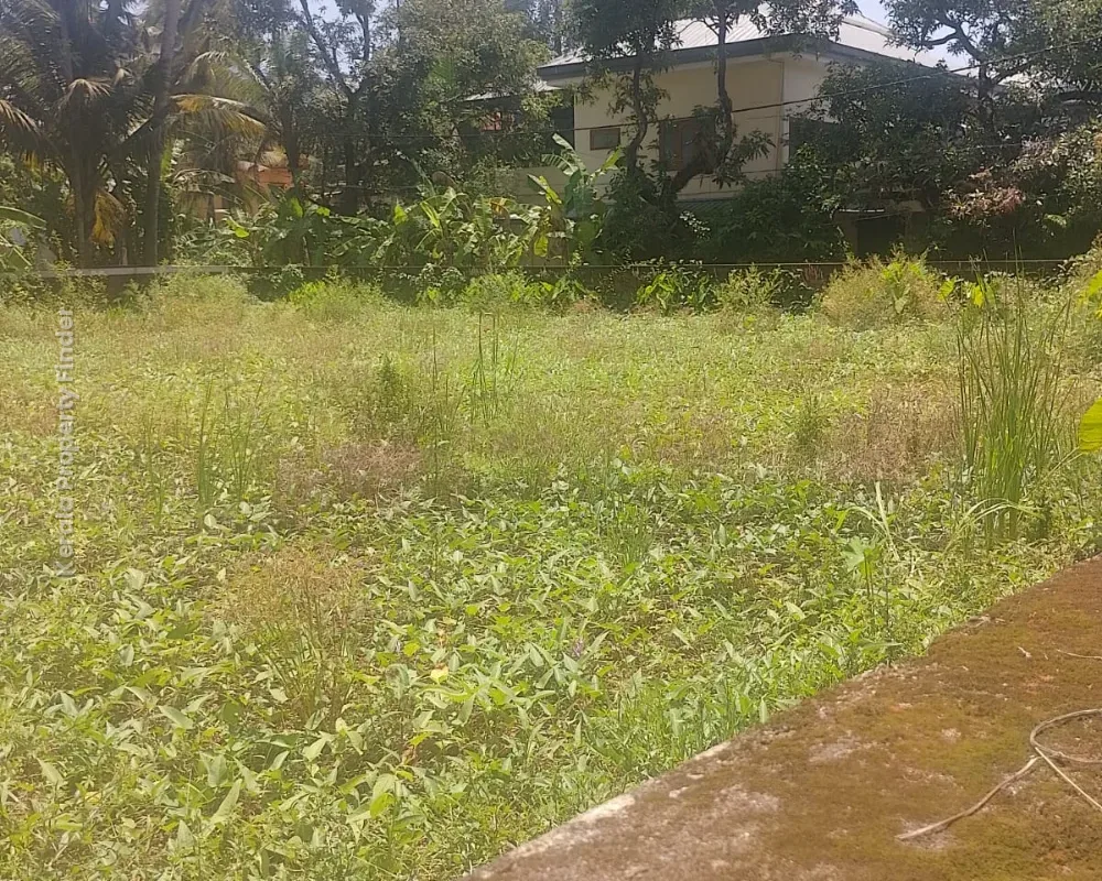 13 Cent Residential Land for Sale Near Metro Hospital, Koorkkenchery, Thrissur - Photo 2