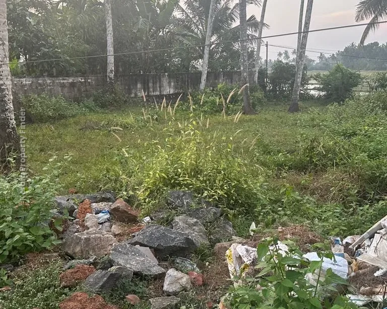 10 cents Residential Plot for Sale at Olari, Chettupuzha, Thrissur - Residential in Olari, Thrissur - photo 7