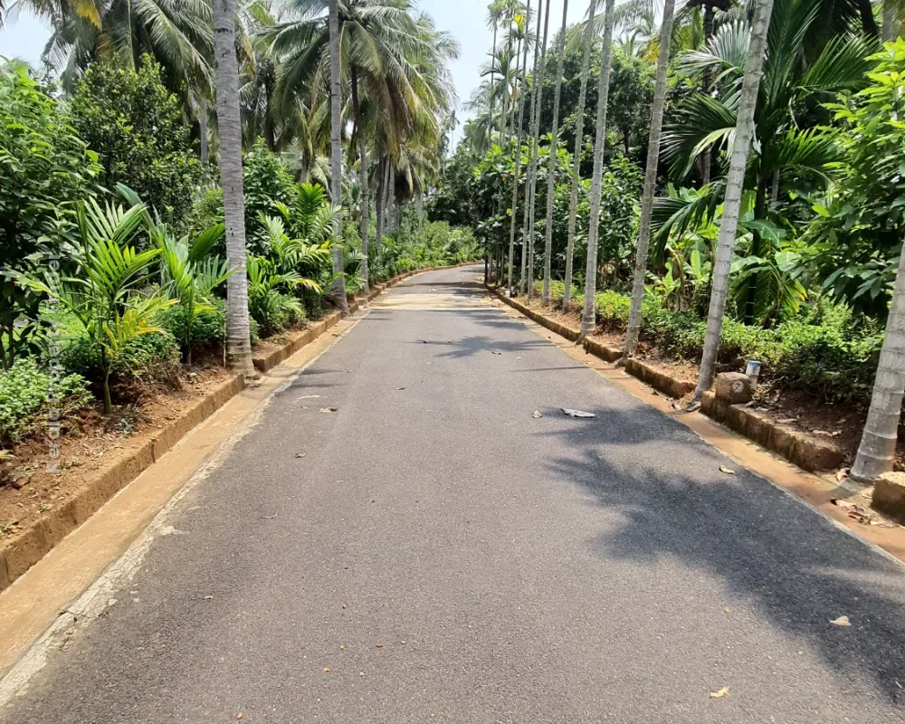 Maaya Riverside Villas riverfront property for Sale - Photo 3
