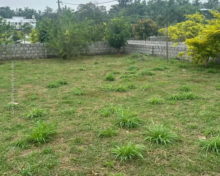 Residential Land  10 ,11 cents  for sale in Kechery Center, Thrissur - Photo 2