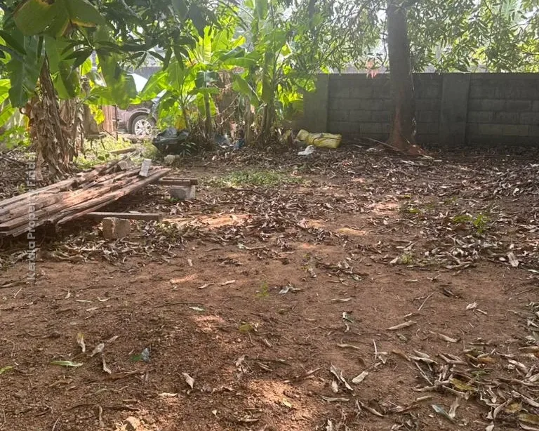 Prime Residential Plot-8 cents for Sale in Chembukavu, Thrissur - Photo 4