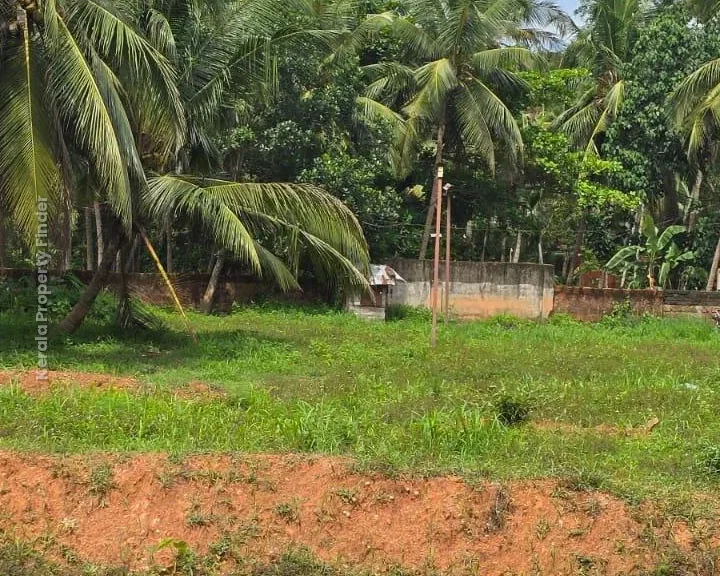 PRIME 59-CENT LAND FOR SALE  BEHIND HILITE MALL, CALICUT - Photo 3