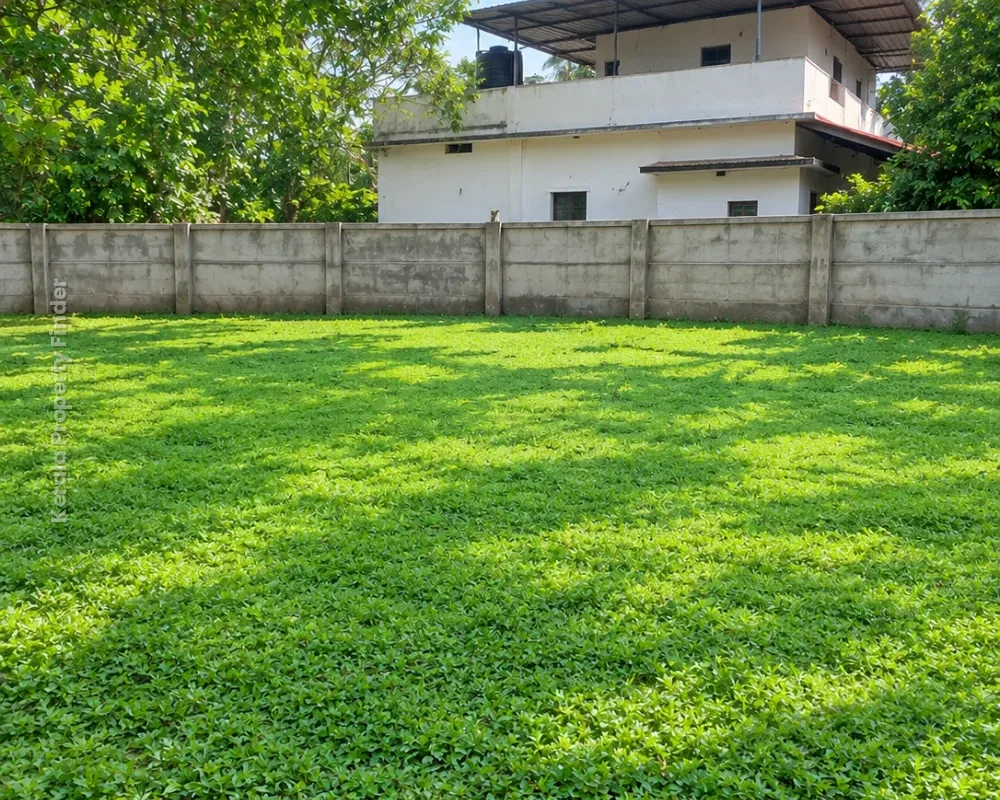 10 Cent East-Facing Land for Sale  Olari , Thrissur - Photo 3