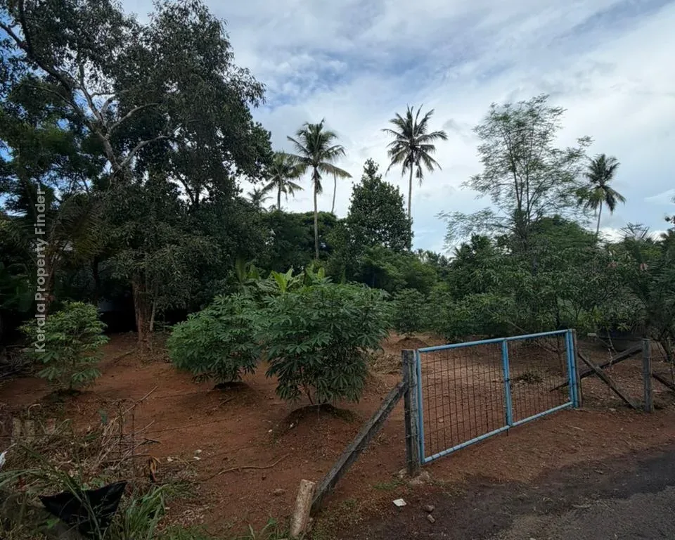 Residential Land for Sale in Koorkenchery  Chiyyaram Main Road, Thrissur - Photo 6