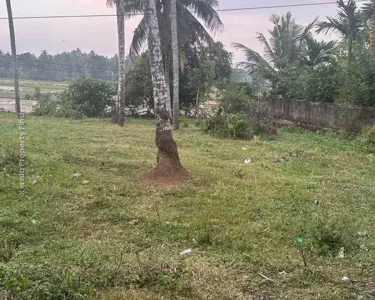 10 cents Residential Plot for Sale at Olari, Chettupuzha, Thrissur - Residential in Olari, Thrissur