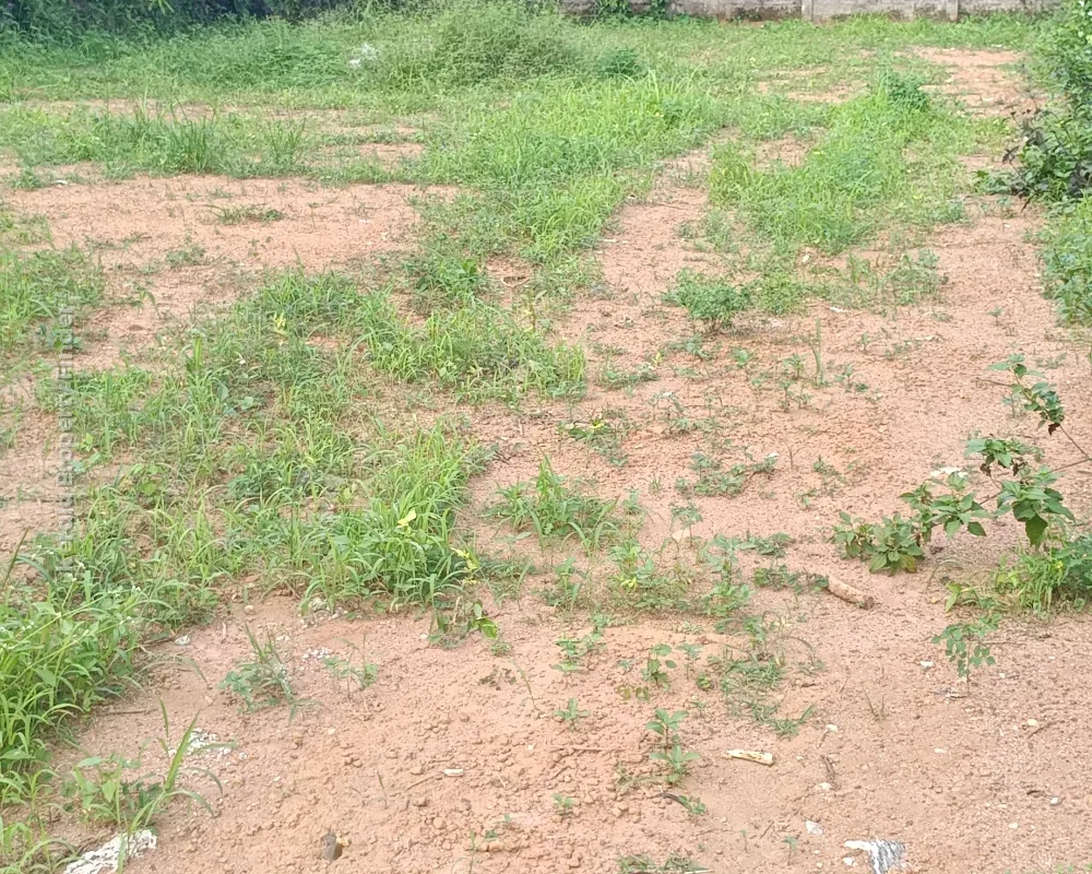 16 Cents Plot near Andoorkonam Junction,  Thiruvananthapuram - Residential in Andoorkonam, Thiruvananthapuram