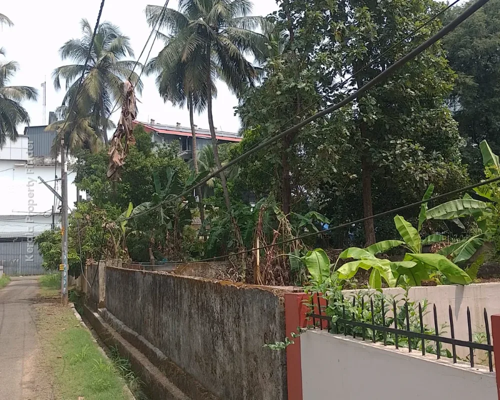 Land for Sale in Kuttanellur, Thrissur - Photo 2