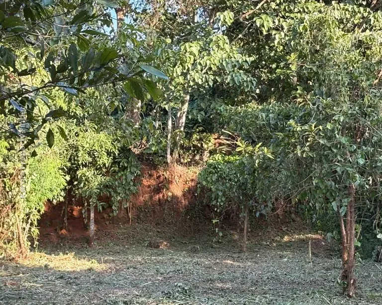 Residential land-10 cent for sale in Velappaya, Main road, Thrissur - Photo 3