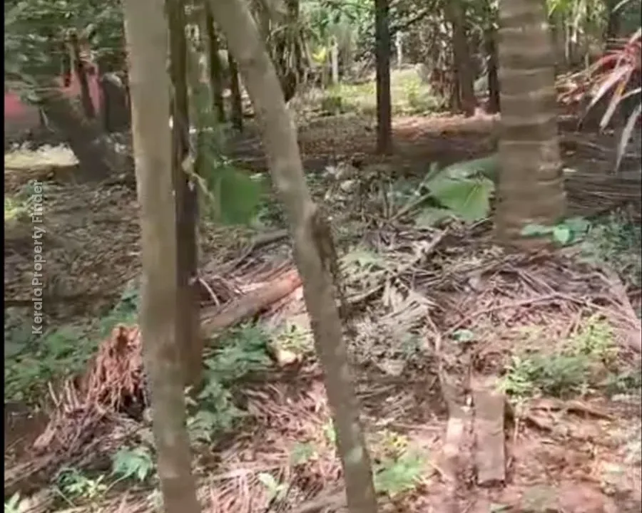 Land with House for Sale in Mannuthy, Mulayam-Koottala - Photo 7
