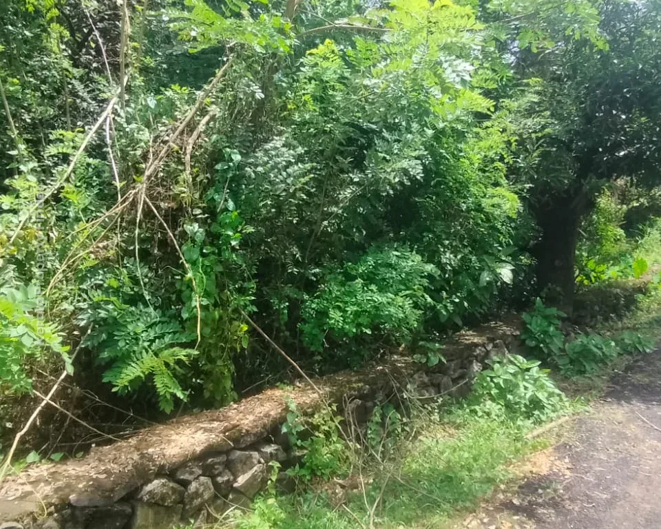 30-cent land for sale in Paravattani, Thrissur - Residential for Sale in Paravattani, Thrissur