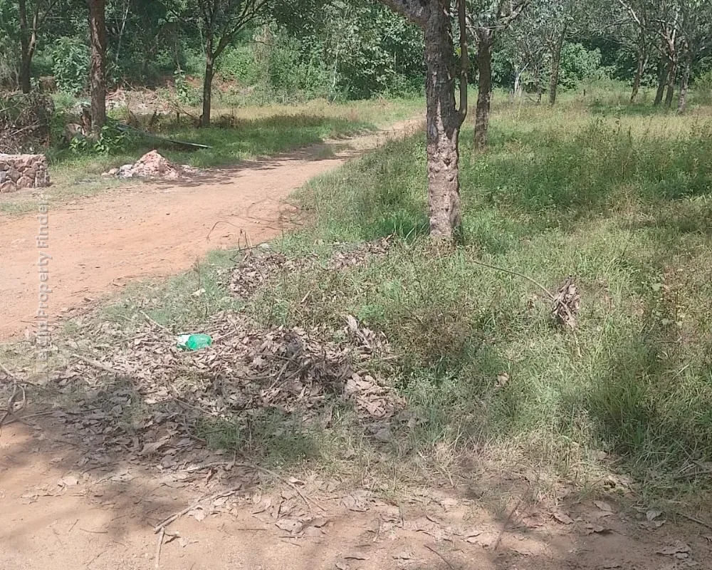 Residential Land for Sale in Kolazhy, Thrissur - Photo 3