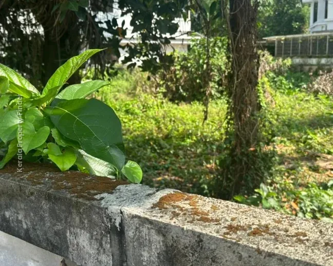 Residential land- 10 cent for sale in Kalathode, Thrissur - Photo 6