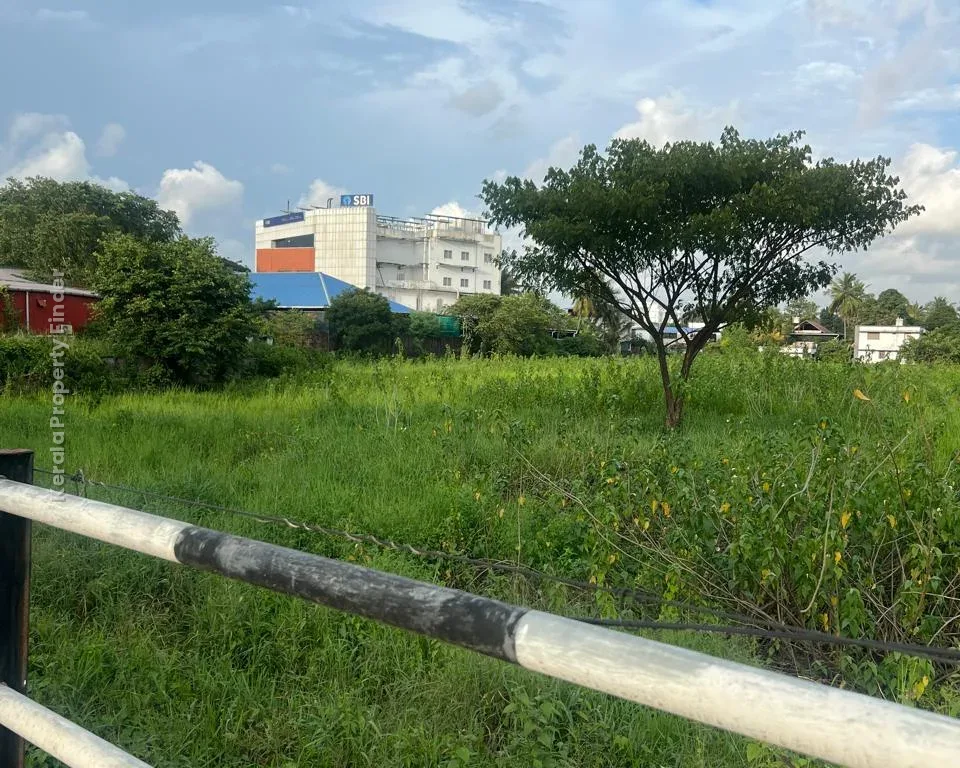 5.5 Acres Commercial Land for Sale  Kolothumpadam, Peringav, Thrissur - Photo 2