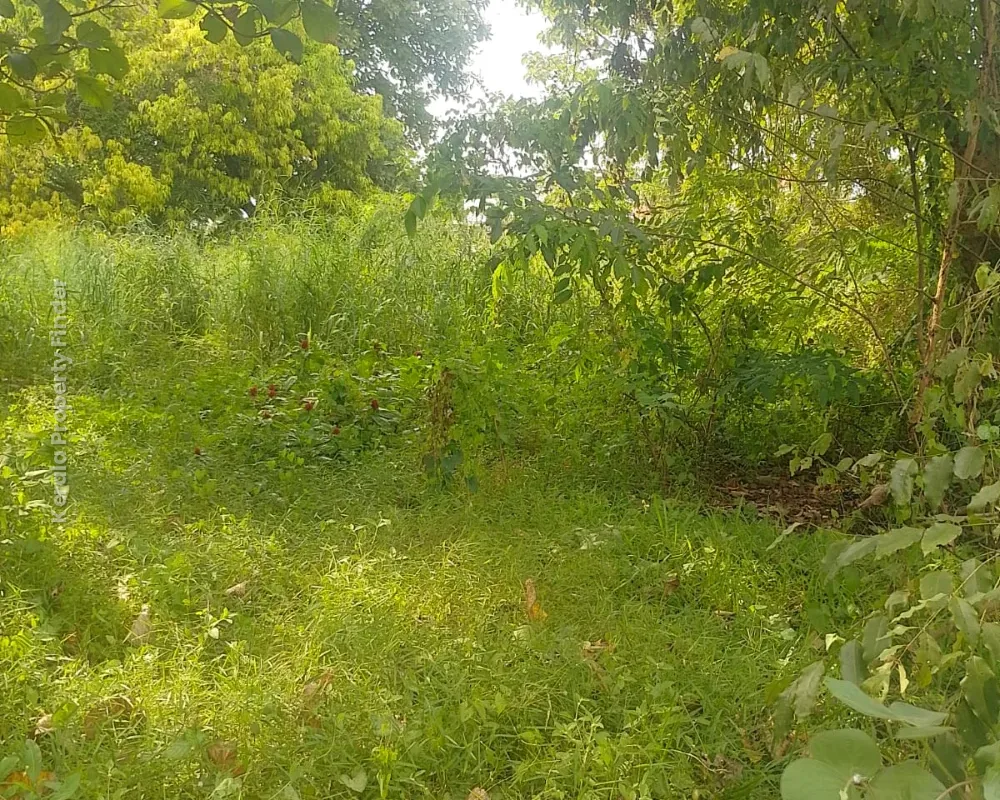 Residential Land for Sale  Chembukkav, Thrissur - Photo 4