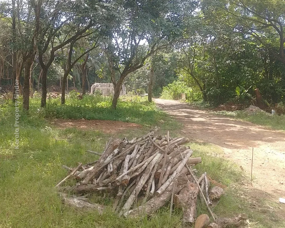 Residential Land for Sale in Kolazhy, Thrissur - Photo 6