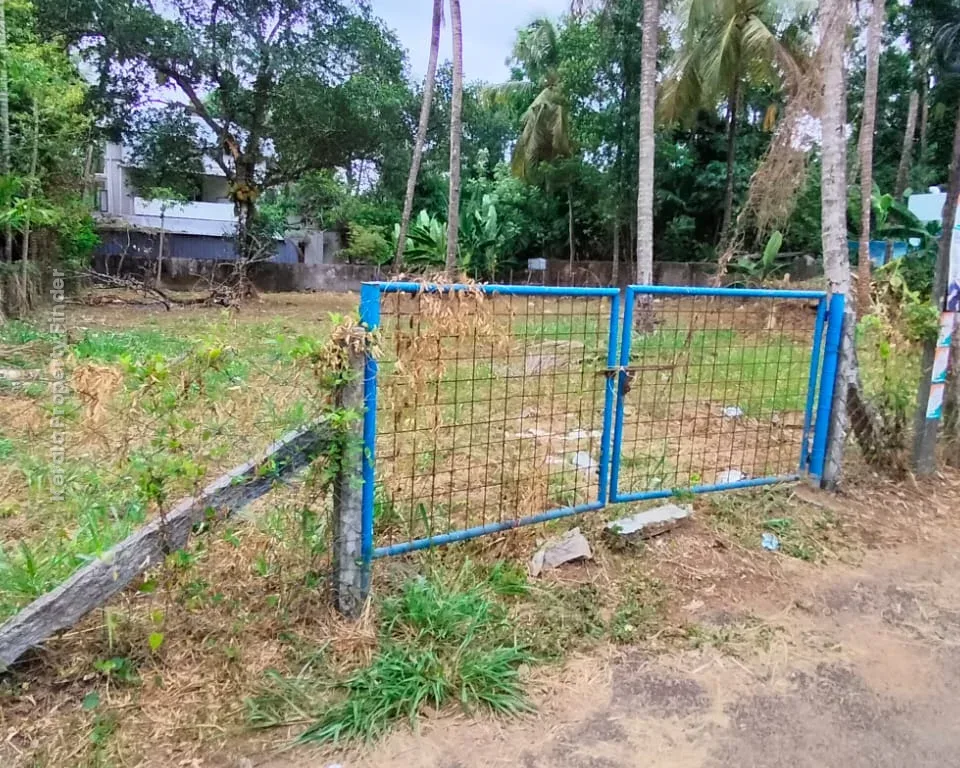 Residential Land-22 cent for Sale in Kuttanellur , Thrissur - Residential for Sale in Kuttanellur, Thrissur