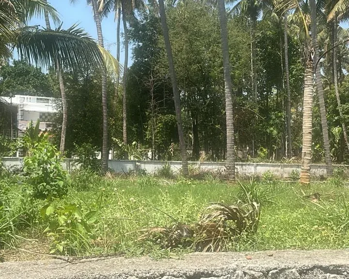 Residential land-9 cents For sale in Aranattukara, Thrissur - Photo 3