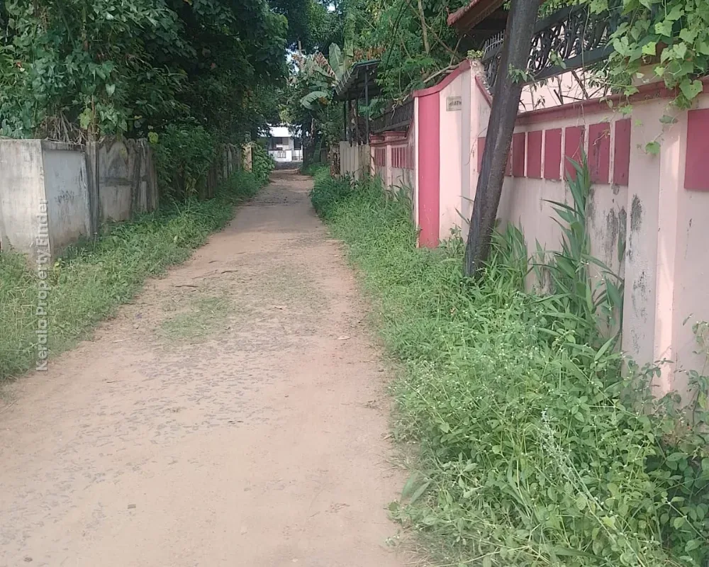 Residential Land for Sale  Pamboor, Thrissur - Photo 3