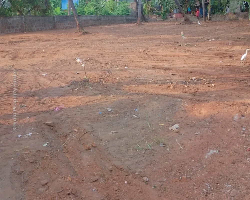 20 Cents of Land for Sale Near Kerala Varma College, Thrissur  Immediate Sale - Residential in Kanattukara, Thrissur