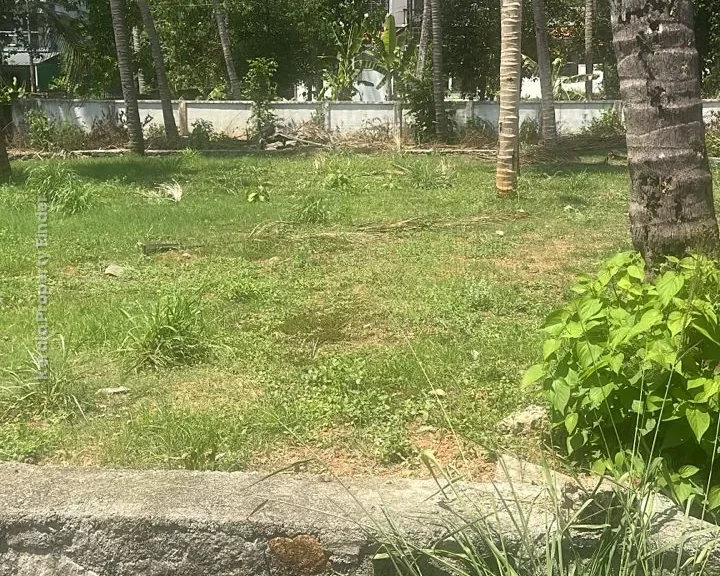 Residential land-9 cents For sale in Aranattukara, Thrissur - Residential in Aranattukara, Thrissur