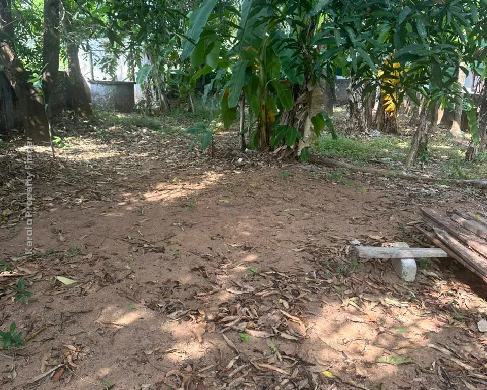 Prime Residential Plot-8 cents for Sale in Chembukavu, Thrissur - Residential for Sale in Chembukkav, Thrissur