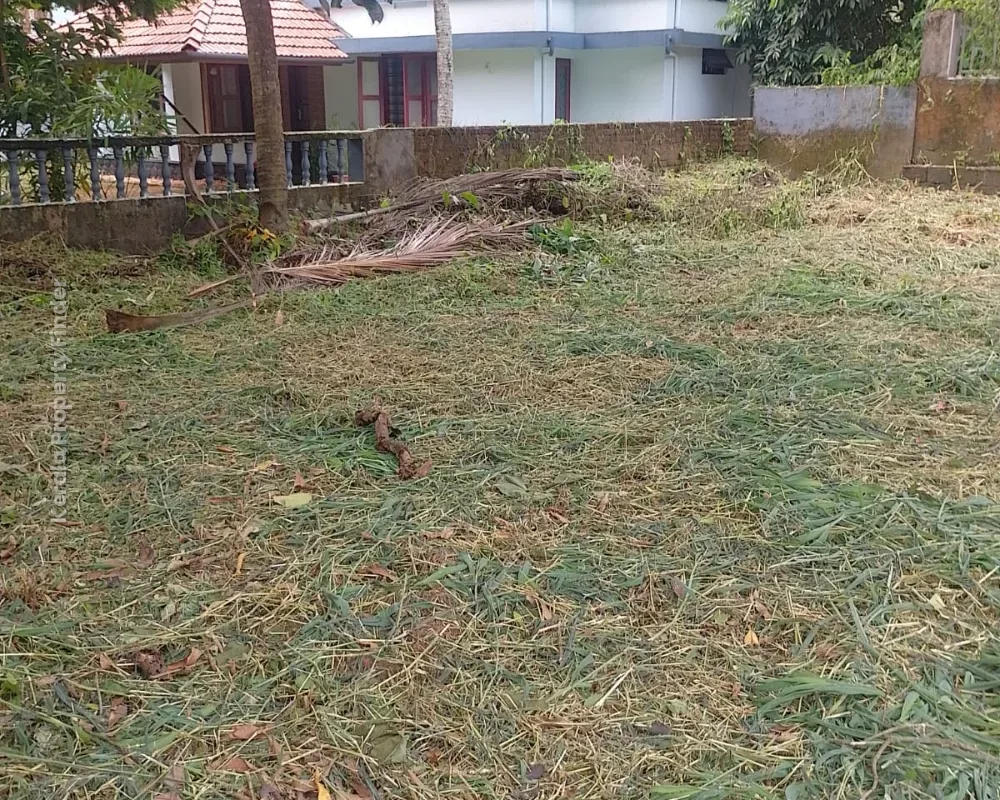 Commercial Land for Sale in West Fort, Near Kerala Varma College, Thrissur - Commercial in Thrissur City, Thrissur - photo 5