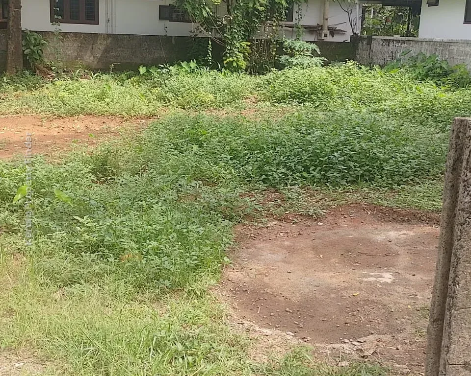 11.5 cents for Sale in Pallimoola, vimala college, Thrissur - Photo 2