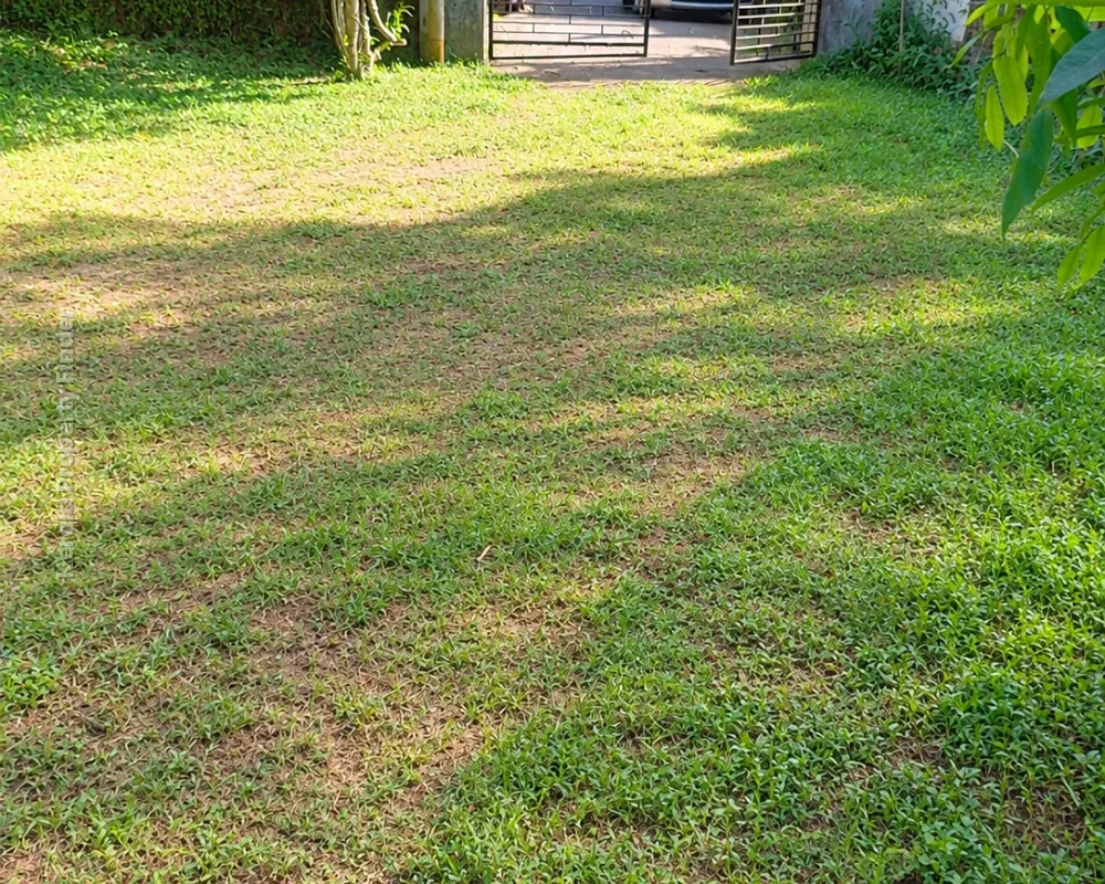 Plots for Sale Near Town Hall, Thrissur - Photo 2