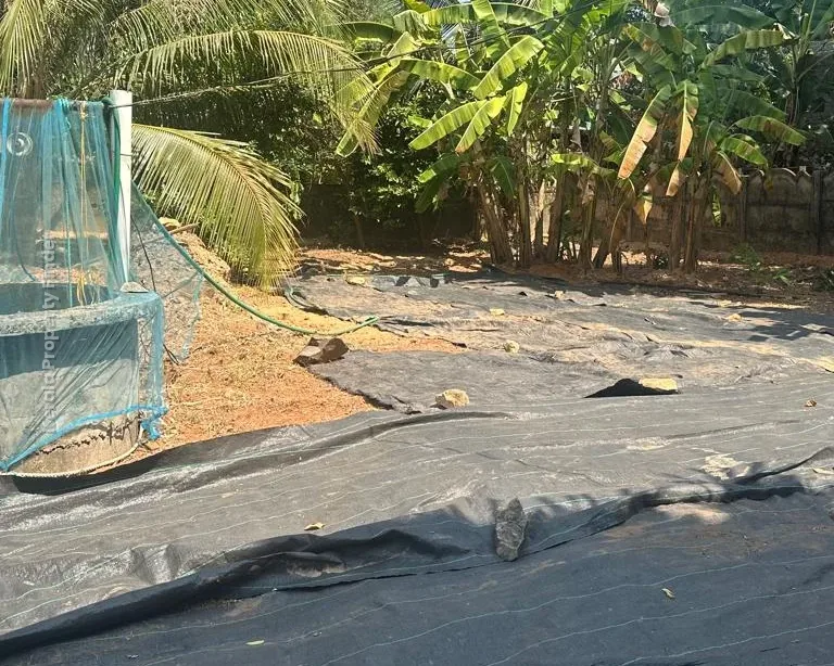 Residential Land for Sale in Kanimangalam  Koorkencherry Route - Residential for Sale in Kanimangalam, Thrissur