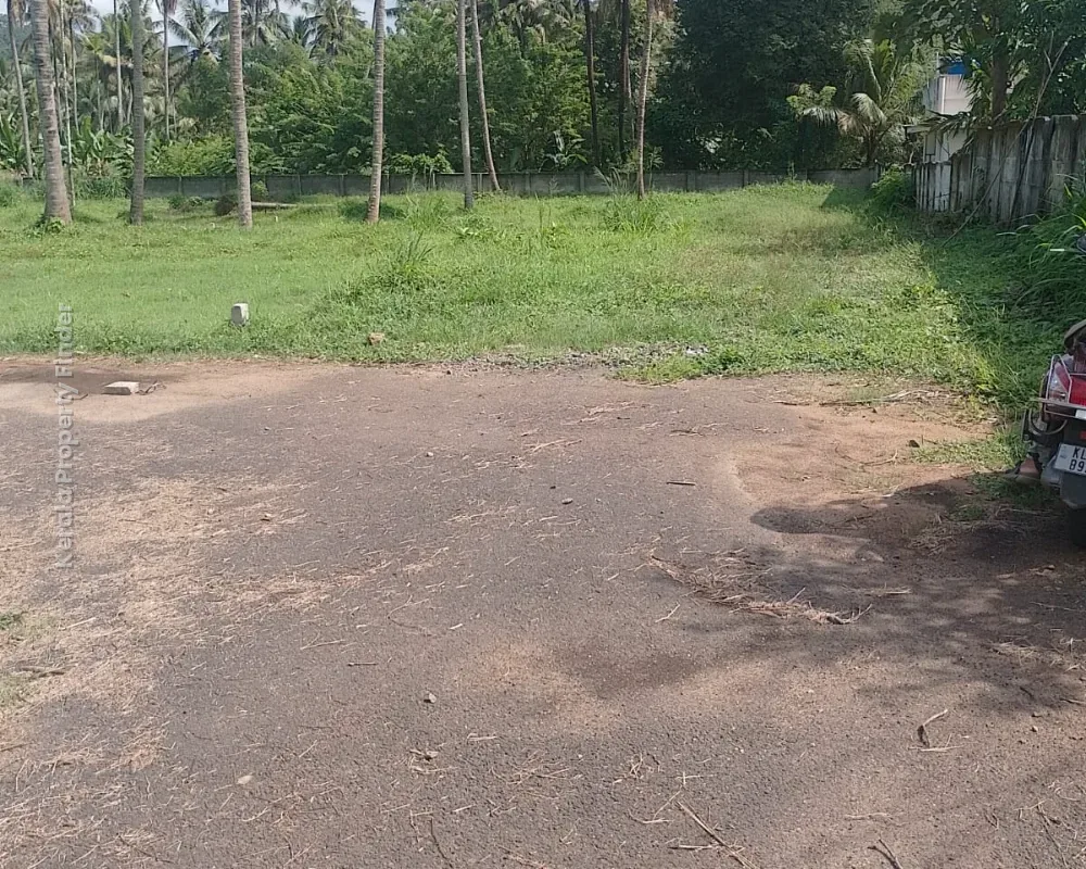 Residential Plots for sale at Mudikkode on Mannuthy Highway - Photo 5