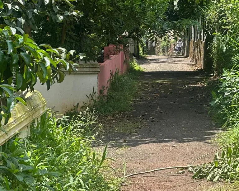 Residential Land for Sale  Chembukkav, Thrissur - Photo 4