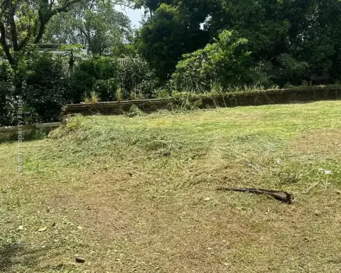 23 Cent Land for Sale in Gosaikkunnu, Kuriachira, Thrissur - Residential for Sale in Kuriachira, Thrissur